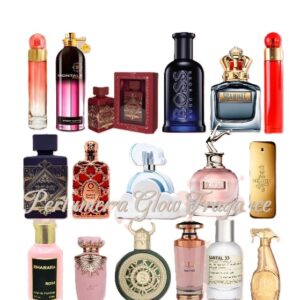 Combo Emprendedor 1.1 – 17 Perfumes + Perfumero Recargable